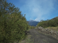 anobello-01042012 056